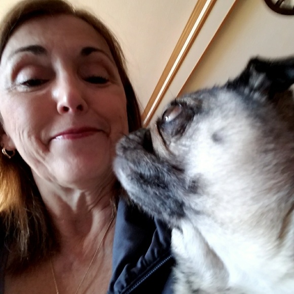 Posh Ambassador - Picture 2 of 5